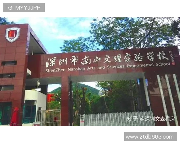 深圳羽毛球队逆袭联合会杯的辉煌历程与奋斗精神展现