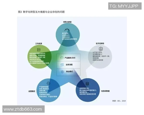 武汉排球队的转型之路：从传统强队到现代化竞技新标杆